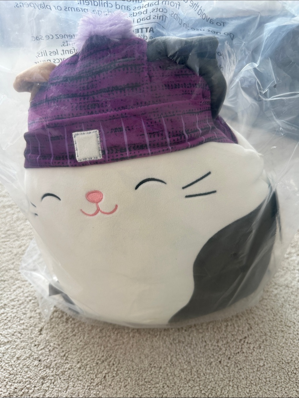 Squishmallows Cat Plush with Purple Beanie and Pink Nose